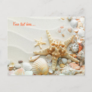 Coquillages sur la carte postale de la plage