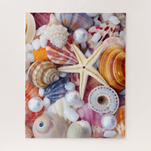 Coquillages sur la plage puzzle 520 pièces