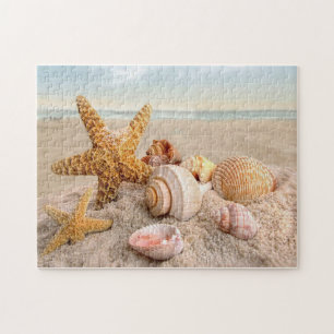 Coquillages sur un puzzle de plage de sable blanc