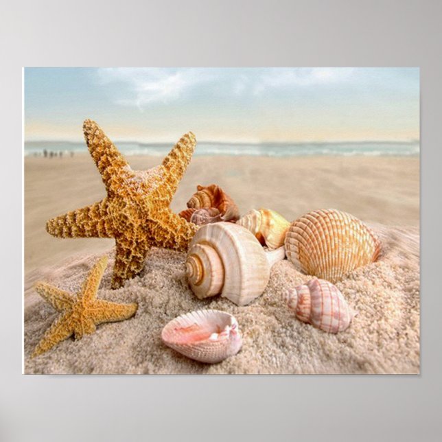Coquillages sur une plage de sable blanc Affiche (Devant)