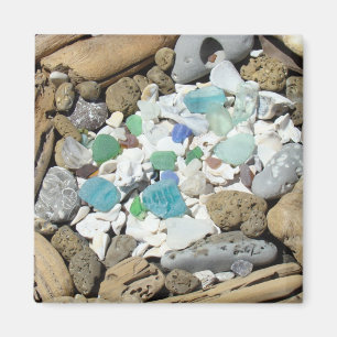Coquillages Verre de mer Bois flotté aimants cadea