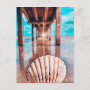 coquille de carte postale