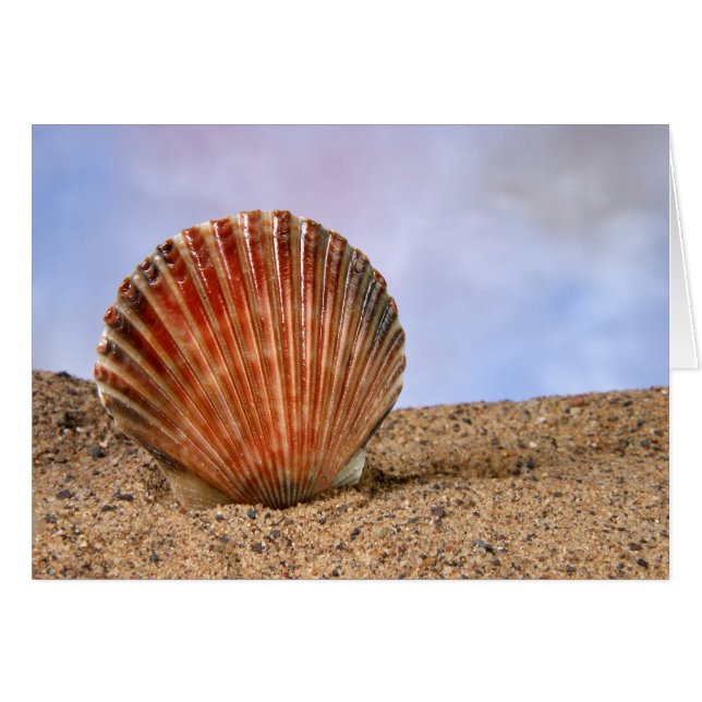 Coquille de claquage (Devant horizontal)