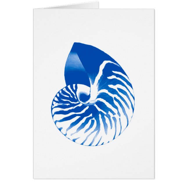 Coquille de Nautilus - bleu cobalt et blanc (Devant)