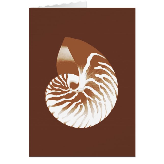 Coquille de Nautilus - cacao brun et blanc (Devant)