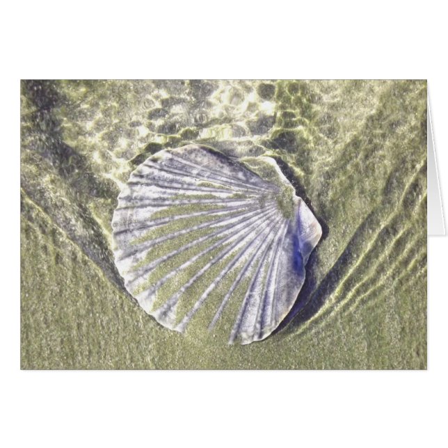 Coquille d'huître sous-marine (Devant horizontal)