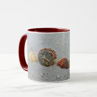Coquille d'une tasse