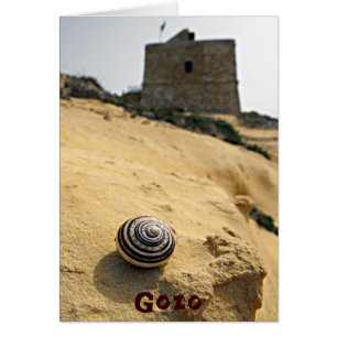 Coquille et tour, Gozo, Malte