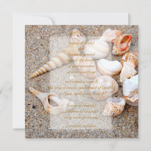 coquilles ii Invitation (Devant)