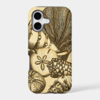 Coquilles neutres et collection de corail
