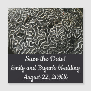 Corail noir et blanc II Abstrait Nature Photo