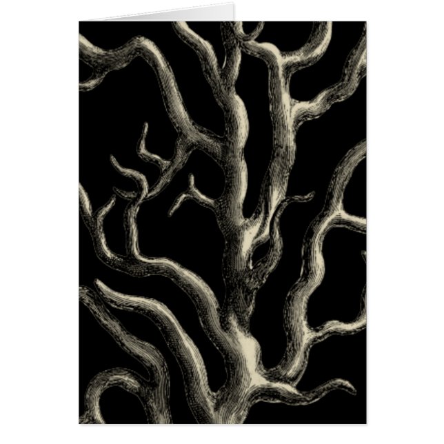 Corail noir et tan (Devant)