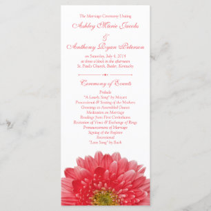 Coral Gerbera Daisy Programme de mariage blanc