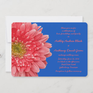Coral Gerbera Daisy Royal Blue Faire-part de maria