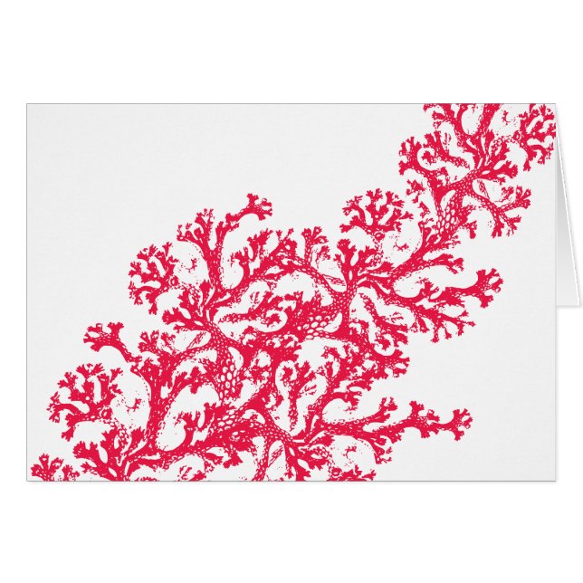 Coral Motif (Devant horizontal)