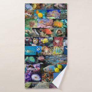 Coral Reef Marine Life : Photos de poissons et d'a