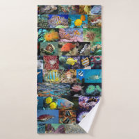 Coral Reef Marine Life : Photos de poissons et d'a