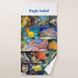 Coral Reef Marine Vie Poissons Animaux Photos Nom