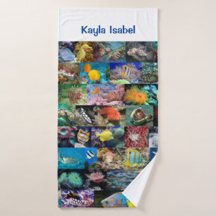 Coral Reef Marine Vie Poissons Animaux Photos Nom