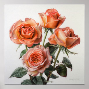 Coral Rose Flower Art Imprimer Poster