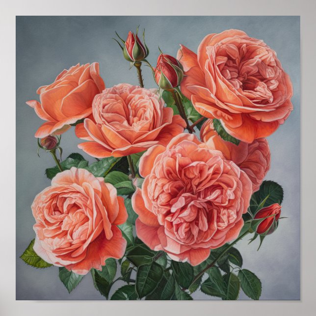 Coral Rose Flower Art Imprimer Poster (Devant)