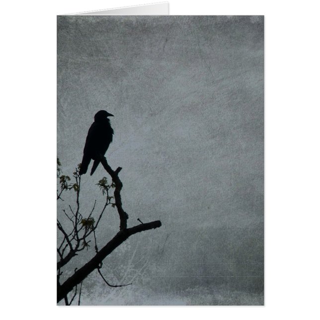 Corbeau (Devant)