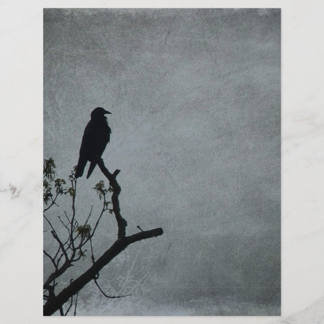Corbeau (Devant)
