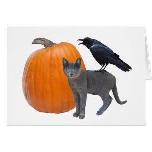Corbeau, chat gris avec carte d'Halloween Citrouil