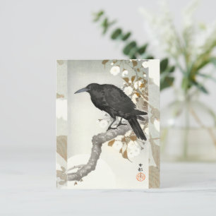 Corbeau Koson Japon Oiseau Corbeau
