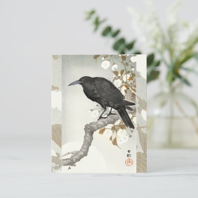 Corbeau Koson Japon Oiseau Corbeau (Debout devant)