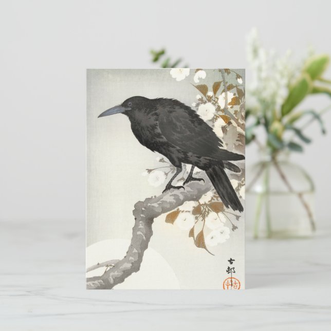 Corbeau Koson Japon Oiseau Corneille (Debout devant)