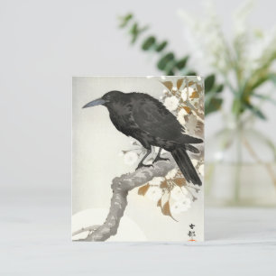 Corbeau Koson Oiseau Japonais Corbeau