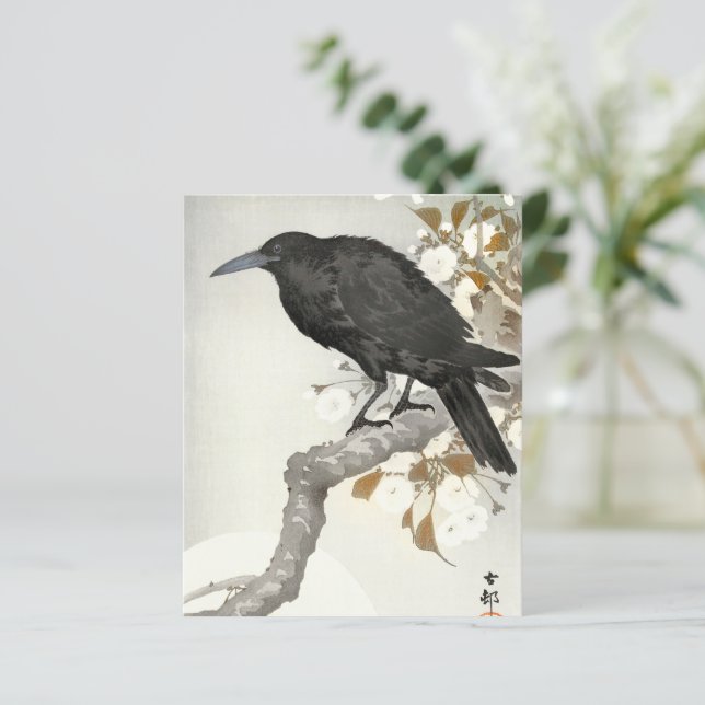 Corbeau Koson Oiseau Japonais Corbeau (Debout devant)