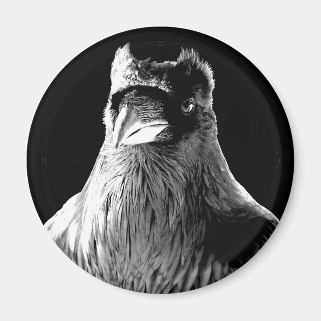 Corbeau Magnet Amour animal Spirit animal Aimant f (Devant)