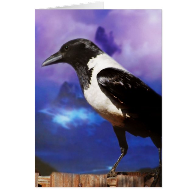 Corbeau sur une clôture (Devant)
