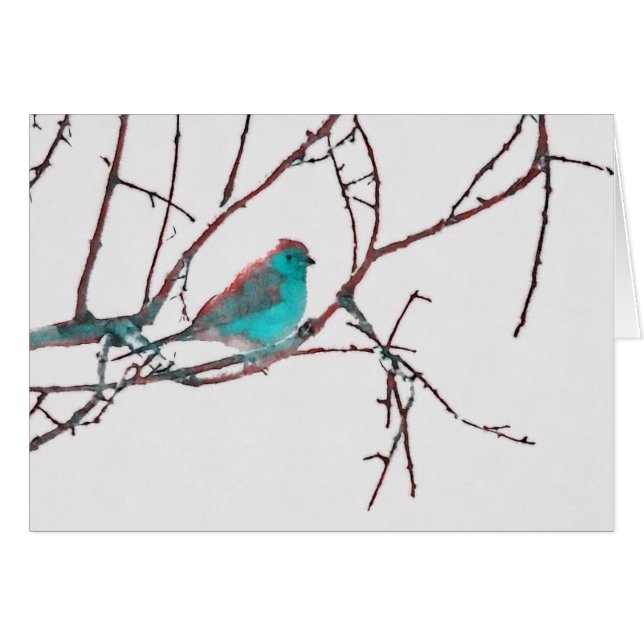 Cordon bleu Waxbill (Devant Horizontal)