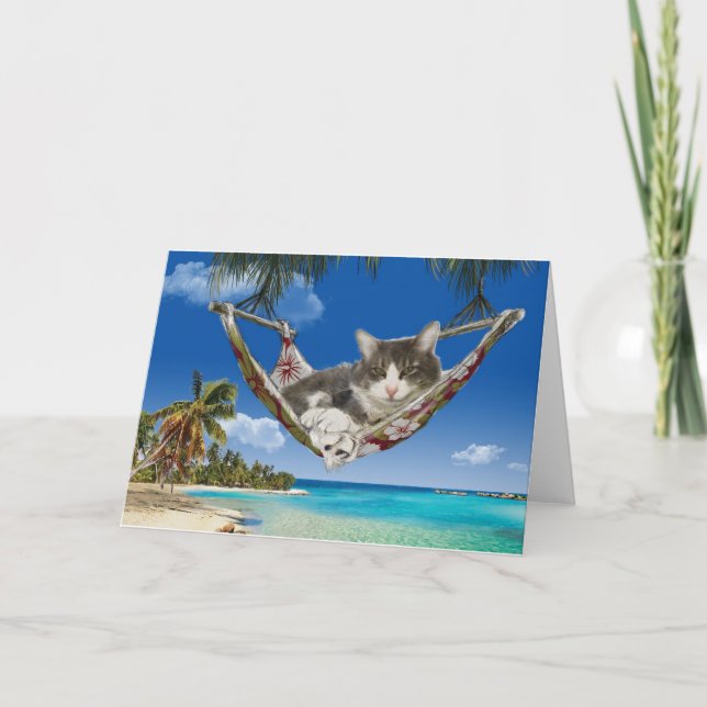 Corduroy dans les Caraïbes, chat en carte hamac (Devant)