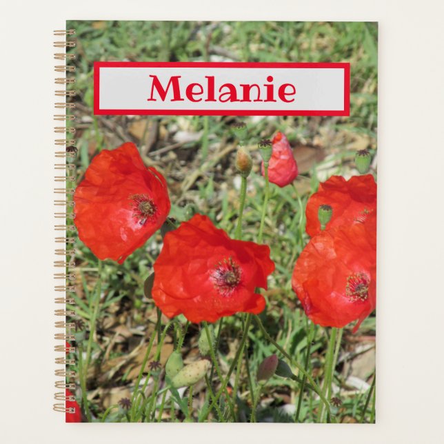 Corfou Red Poppies (Devant)