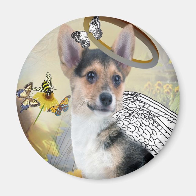 Corgi Angel Magnets (Devant)
