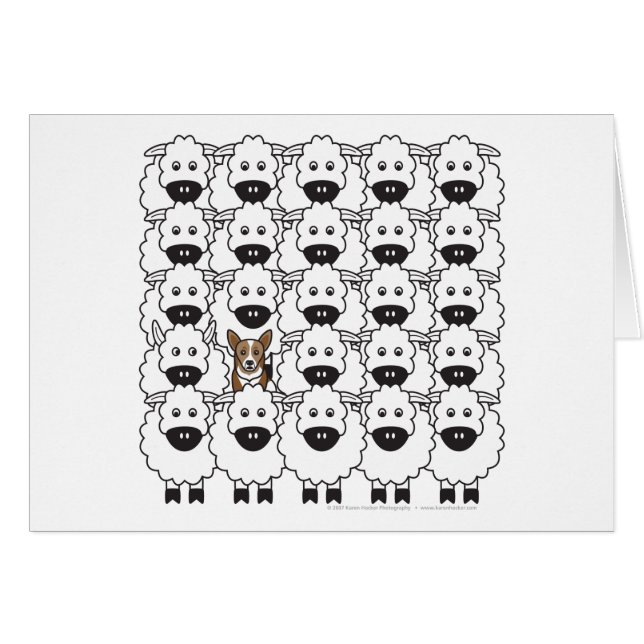 Corgi chez les moutons (Devant horizontal)