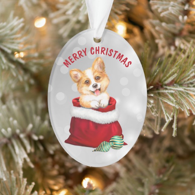 Corgi Chien Chien Cadeau Surprise Ornement (Arbre)