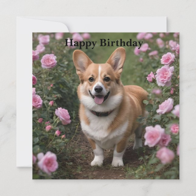 Corgi dans les roses roses, carte d'anniversaire (Devant)