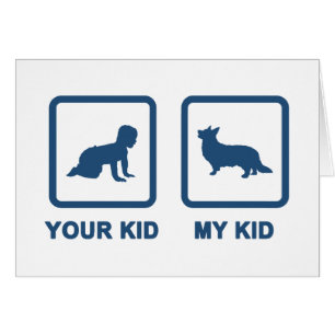 Corgi de Gallois de cardigan