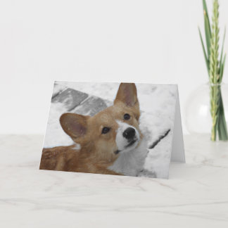 Corgi de Gallois de Pembroke dans la carte de