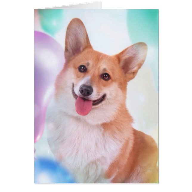 Corgi de sourire avec des ballons (Devant)