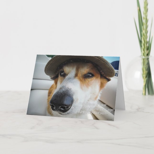 Corgi demande carte d'anniversaire (Devant)
