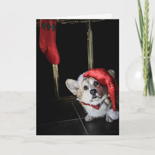 Corgi Elf À la recherche de Père Noël Carte de Noë (Devant)