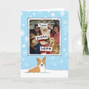 Corgi mignon dans la neige - Noël Modèle photo