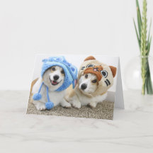 Corgis dans la carte de voeux pliée Casquette