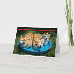 Corgis dans une carte d'anniversaire de piscine